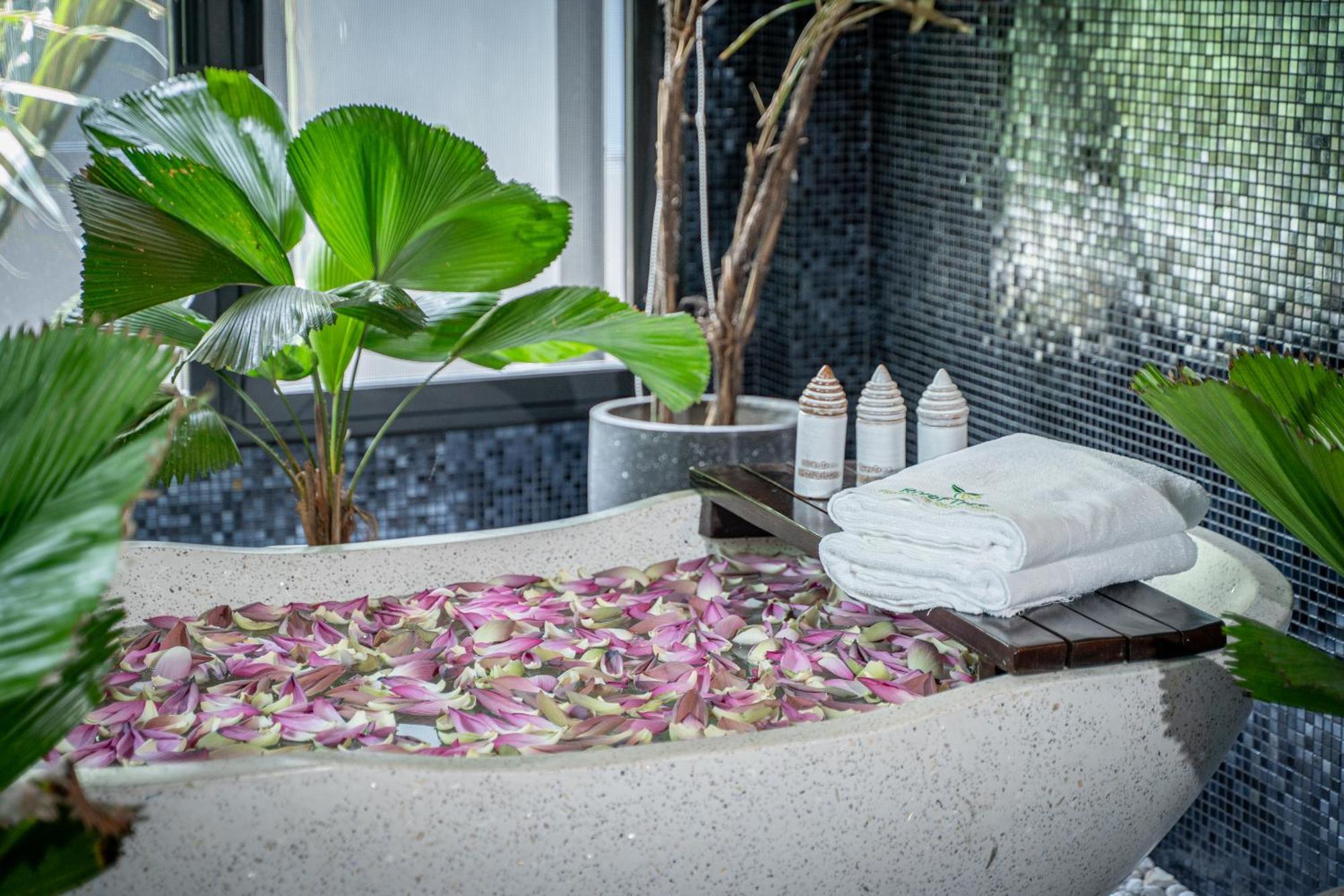 Rivertree Villa & Resort Kampot Ngoại thất bức ảnh